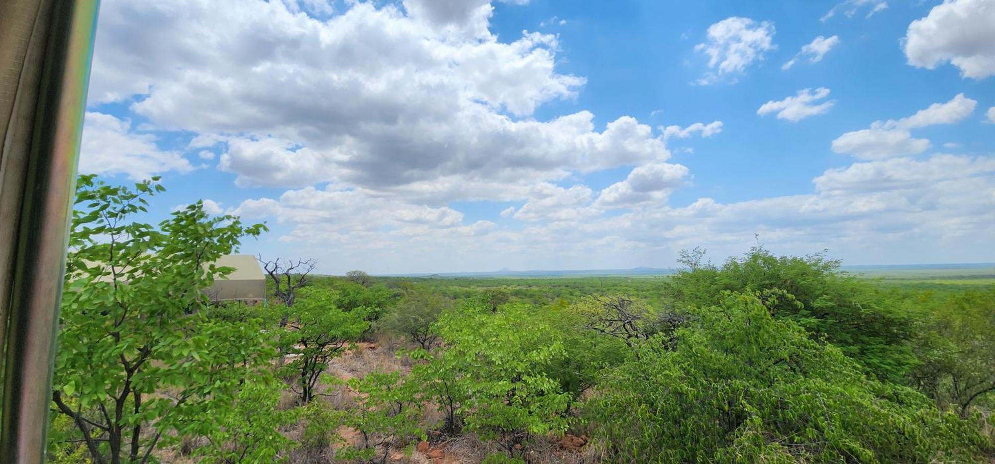 Mopane Bush Lodge Linton Exterior foto