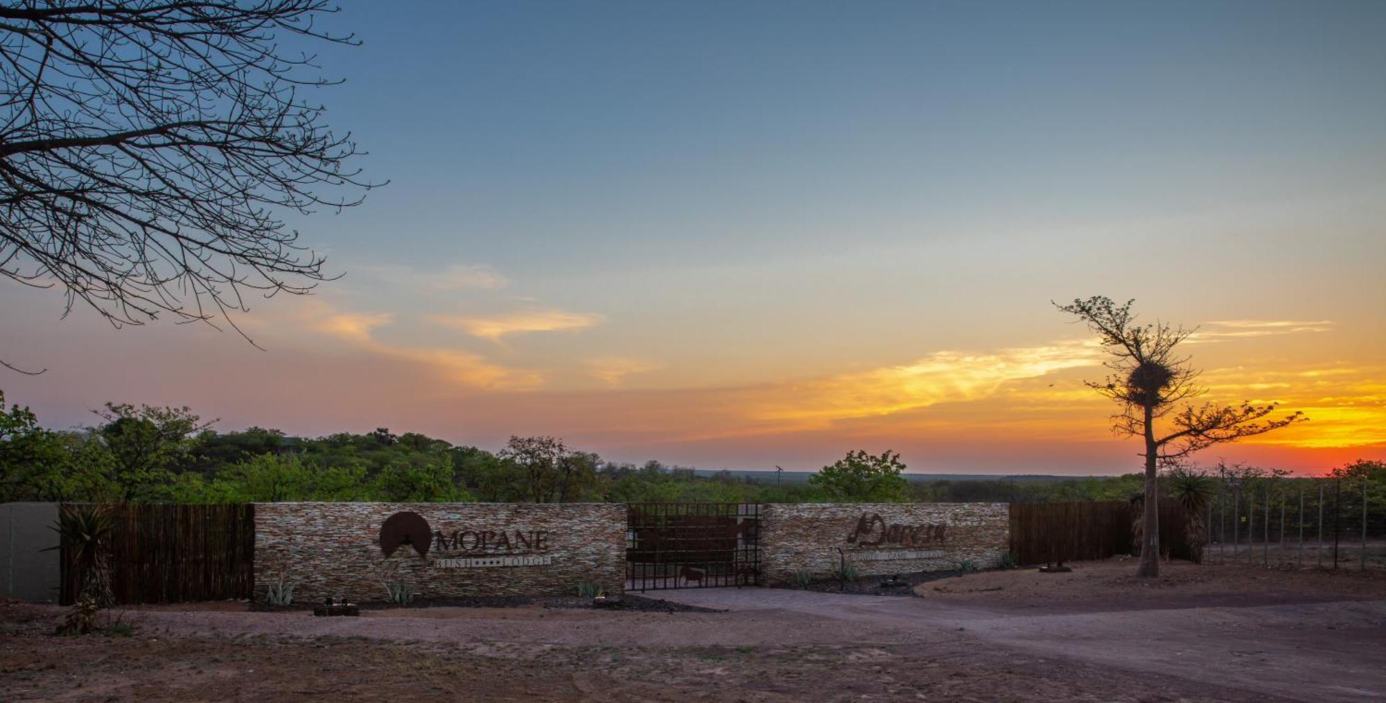 Mopane Bush Lodge Linton Exterior foto