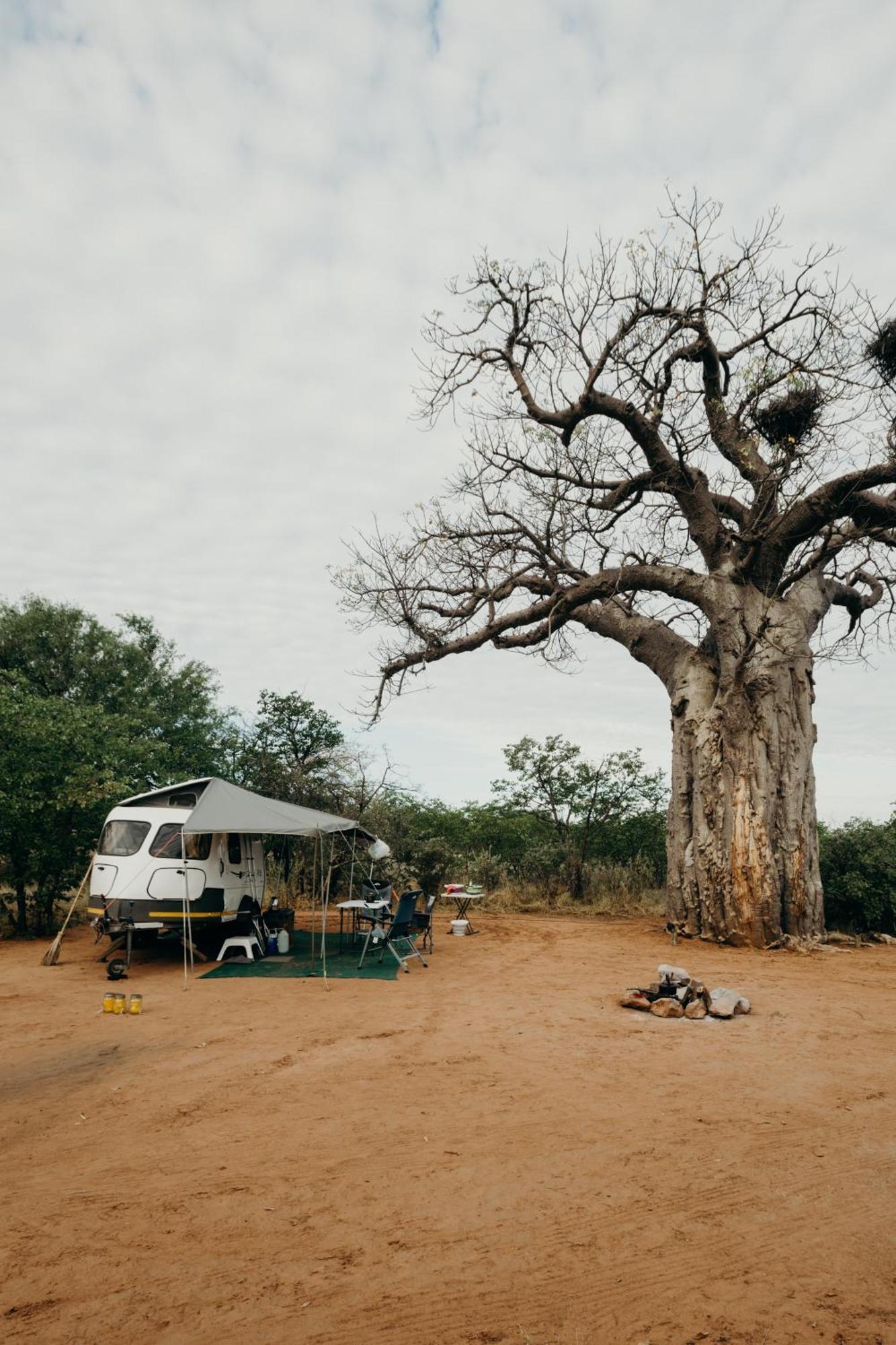 Mopane Bush Lodge Linton Exterior foto